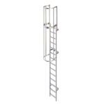 Ladstep Caged Ladder