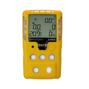 gmi ps500 (copy)